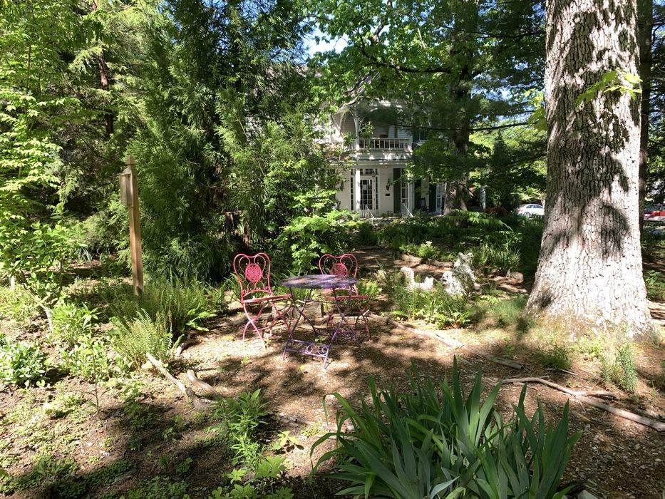 Red chairs in a wooded area.