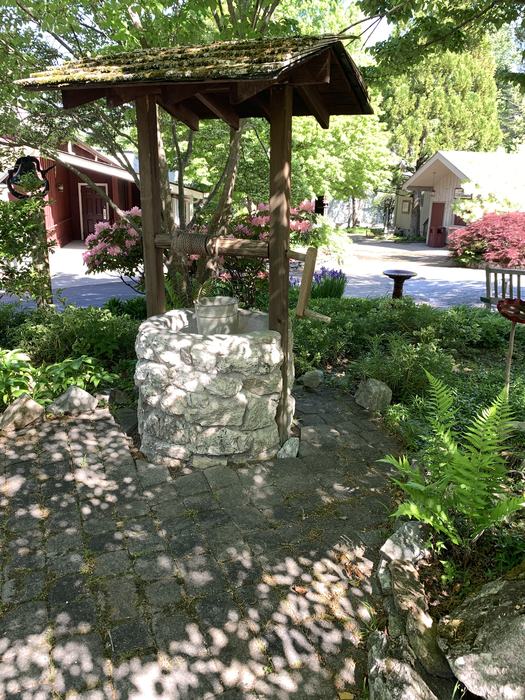 A well in a shaded area surrounded by ferns. 