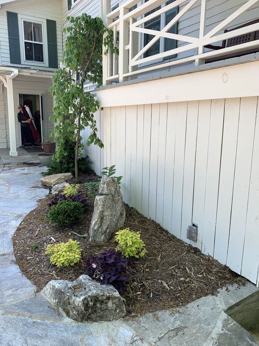 A small tree and rock in a garden beside a house's porch. 