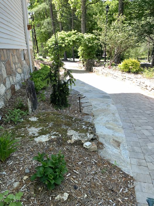 A path leads to a plant covered trellis.