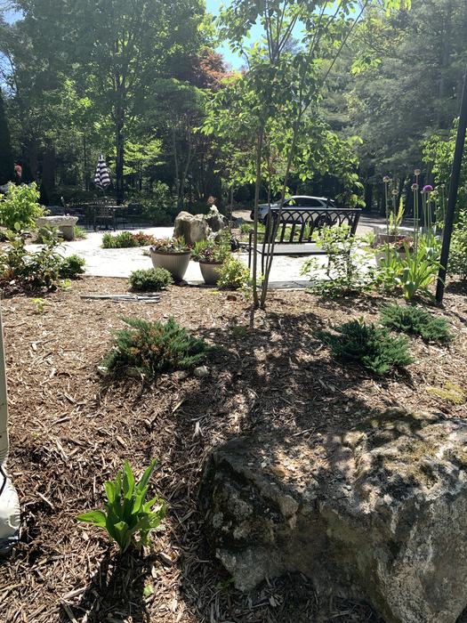 A bench sits in a garden. 