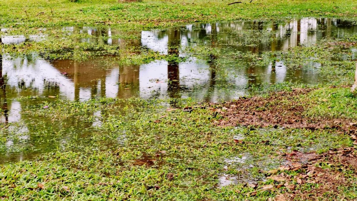 low wet area with standing water
