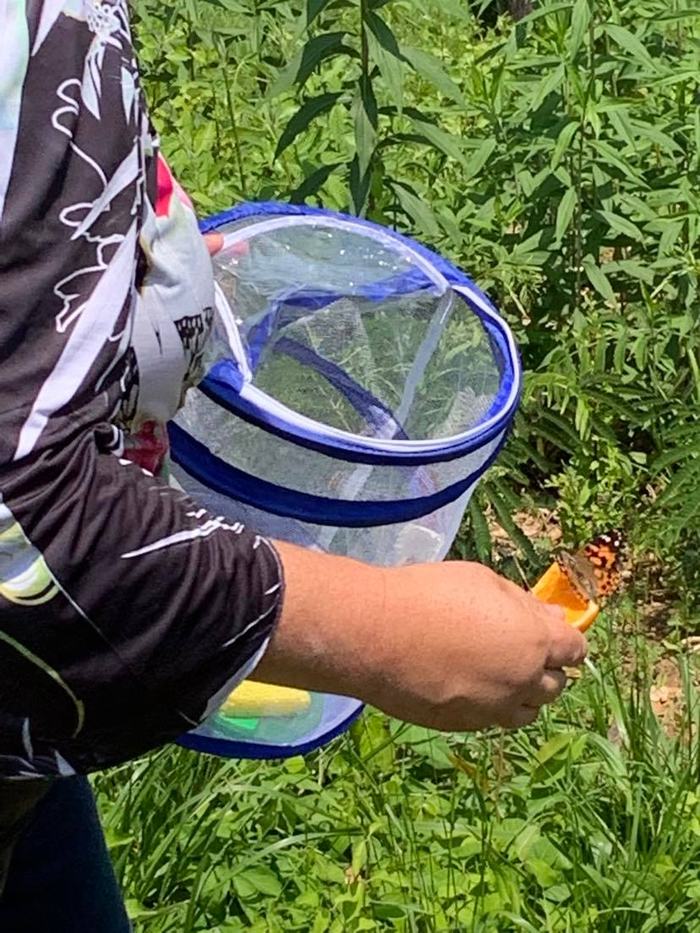 A person holding a butterfly in one hand and a net in the other.