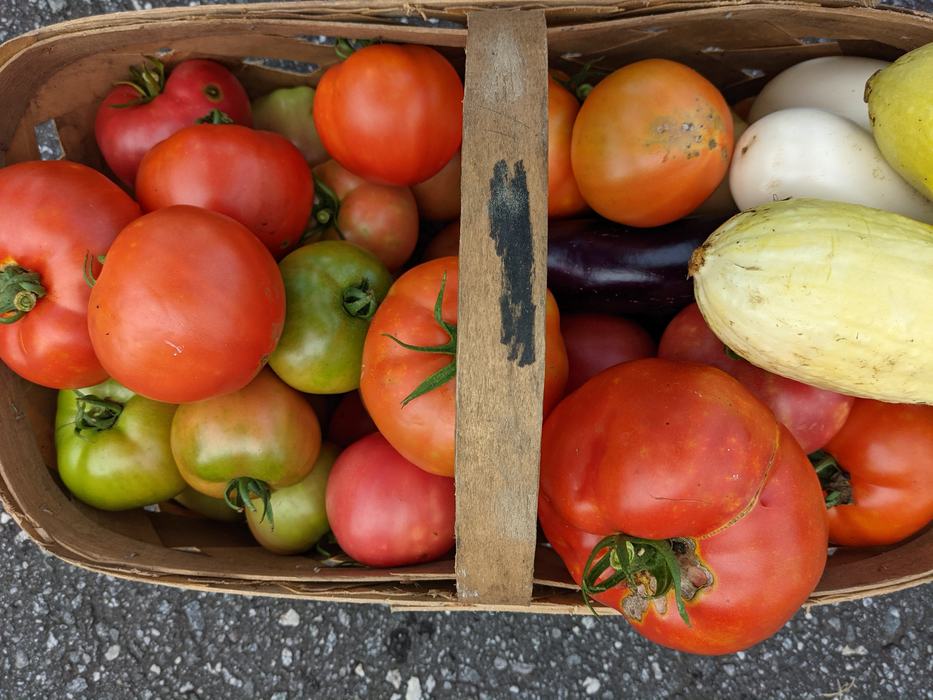 harvested produce in a basket