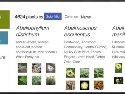 Screen shot of plants.ces.ncu.edu opened on phone in horizontal position