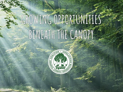 Forest Farmer Coalition