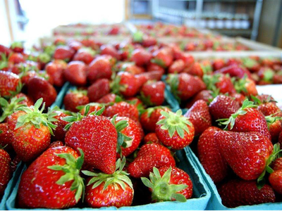 Strawberries