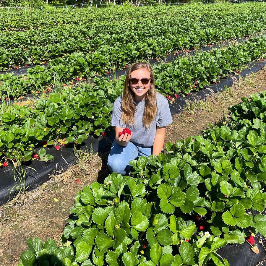 NC State Extension horticulture research station strawberries Castle Hayne New Hanover County