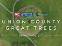 Union County Great Trees Program