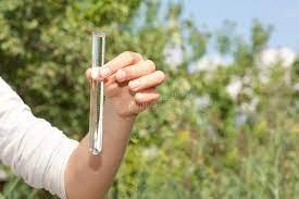 A hand holds a test tube filled with a clear liquid outside in front of a group of trees. 