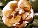 White camellia flower with brown, wilted petals surrounded by glossy green leaves