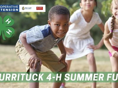 Summer Fun Image