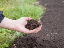 Hand holding a handful of dark garden soil over a prepared garden bed