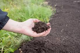 Hand holding a handful of dark garden soil over a prepared garden bed