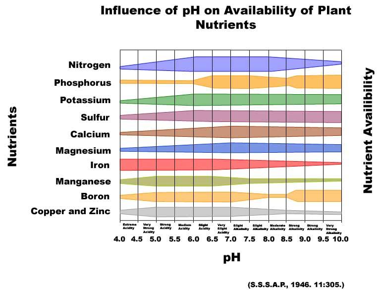 Navigating Fertilizer Prices Part 2: Interpreting Soil Test