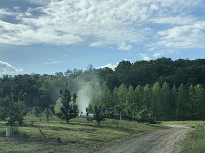 Airblast sprayer in orchard