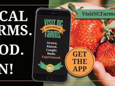 Visit NC Farms banner " Local Farms. Food. Fun."