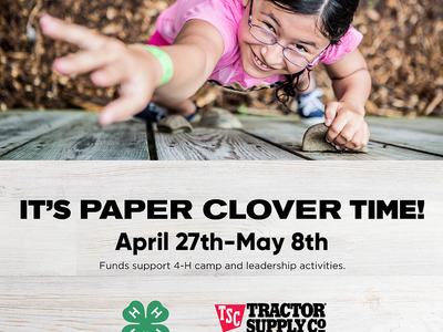 TSC Paper Clover 2022