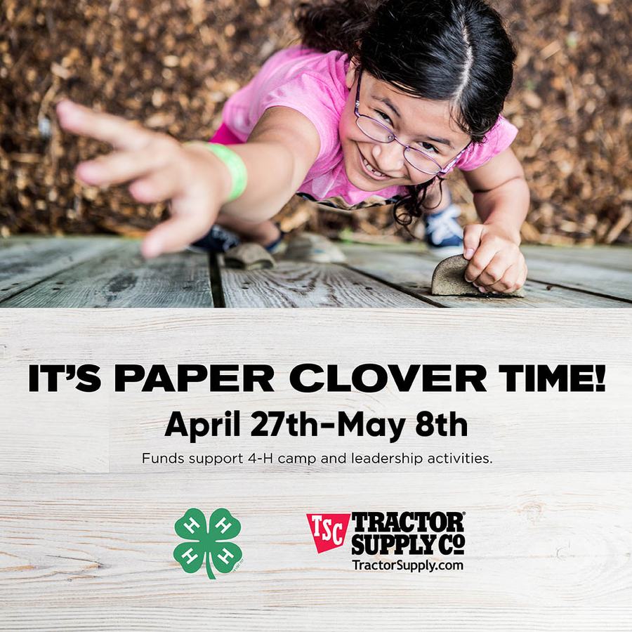 TSC Paper Clover 2022
