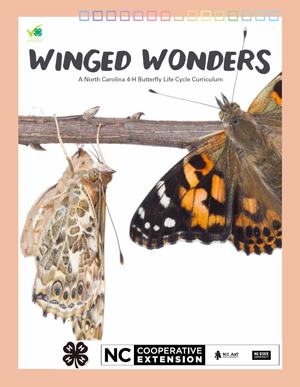 Winged Wonders
