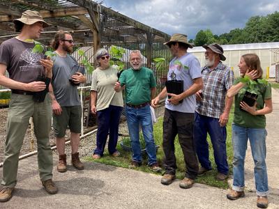 group of people holding pawpaw plants in pots