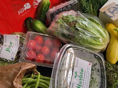 Assorted vegetables in shopping containers.