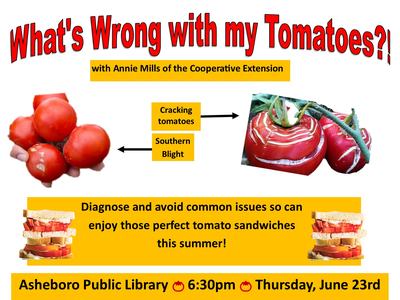 different tomato issues