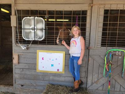 Girl standing at stall 86 petting a horse through metal stall bars.