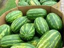 Watermelons