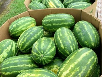 Watermelons