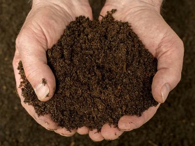 rich soil in hands