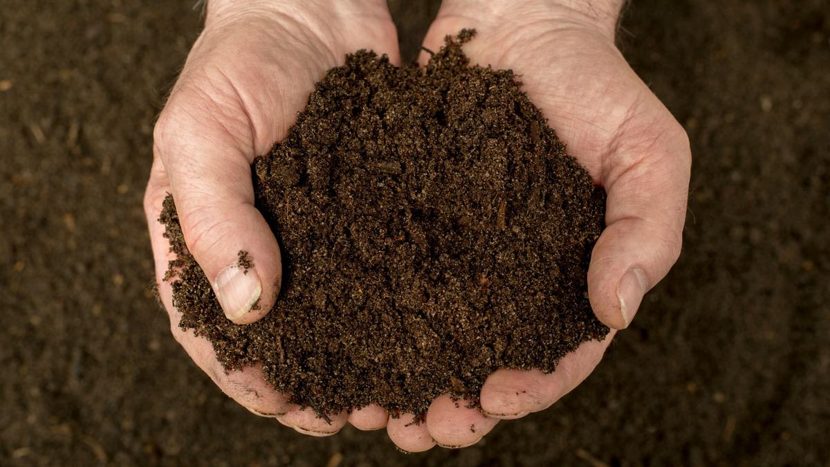 rich soil in hands