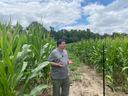 Man standing between tall corn rows in a field, gesturing with hands