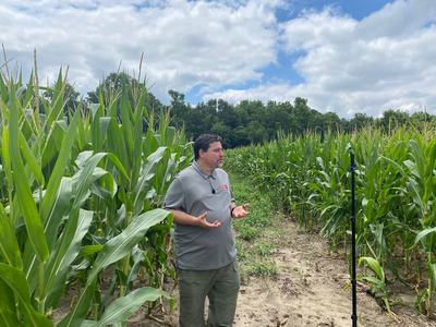 Man standing between tall corn rows in a field, gesturing with hands