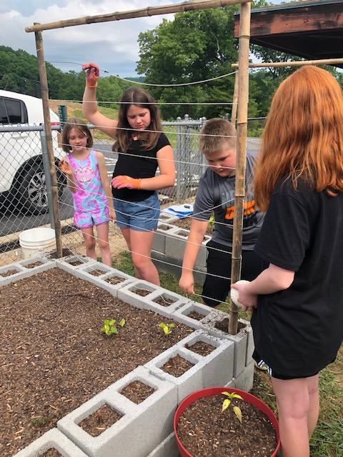 Four children next to a raised garden bed and feeding twine through bamboo to make a trellis.