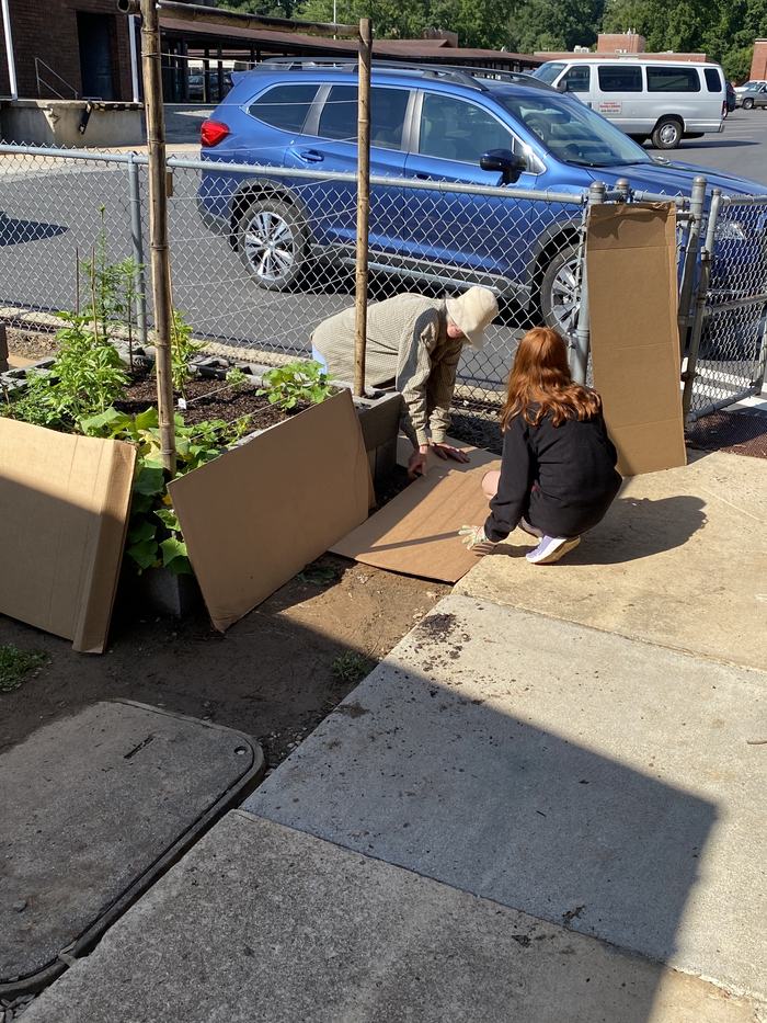 An adult and a child lay down sheets of cardboard over bare ground.