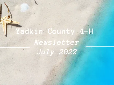 Yadkin County 4-H July Newsletter cover with a beach in the background.