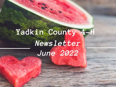 Yadkin County 4-H Newsletter-June Edition Cover with Watermelons on it.