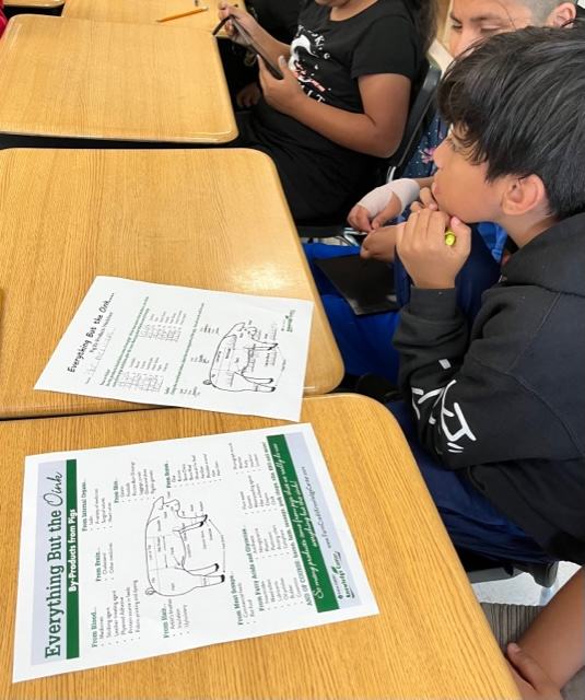 pork learning