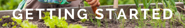 Person planting lettuce seedlings in a garden bed; overlaid text "GETTING STARTED"