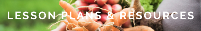 lesson plans and resources