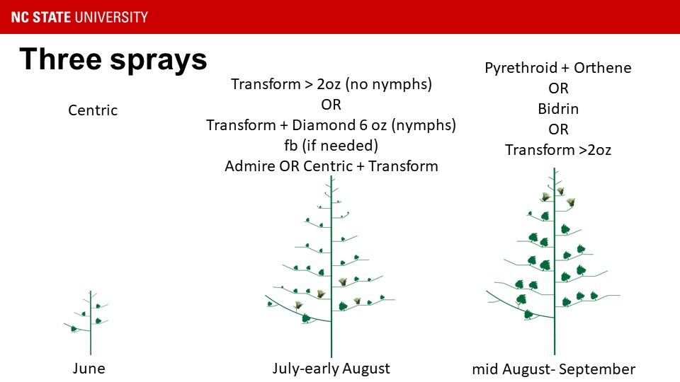 Three figures of cotton plants at different stages of development, along with the brand time to spray.