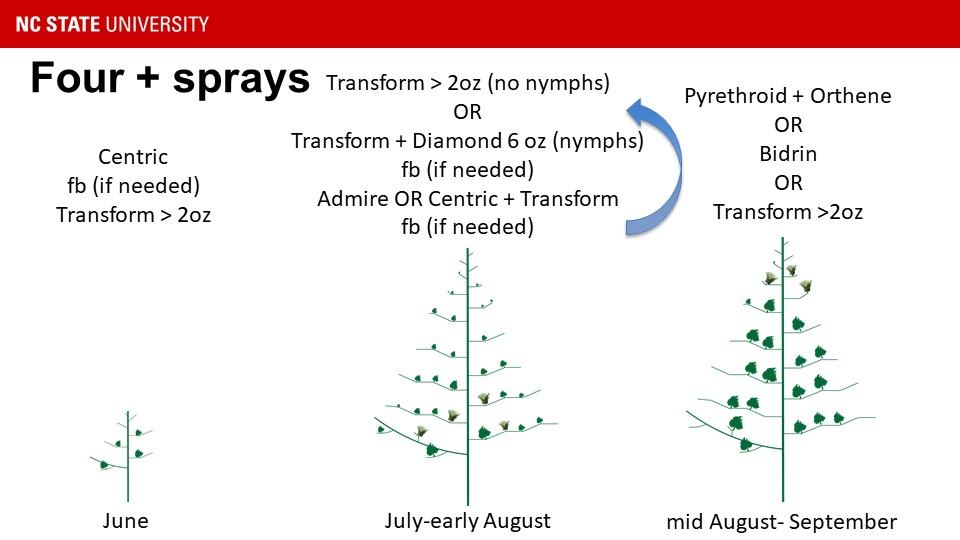 Three figures of cotton plants at different stages of development, along with the brand time to spray.