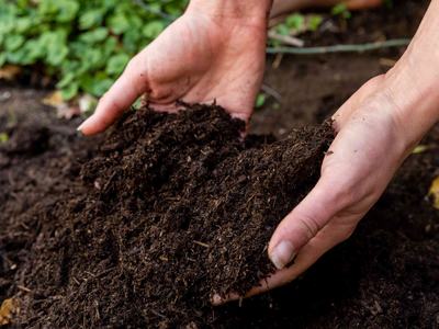 Soil Testing