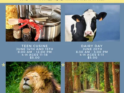Summer Fun Flier
