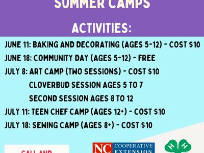 Summer Camp Flyer