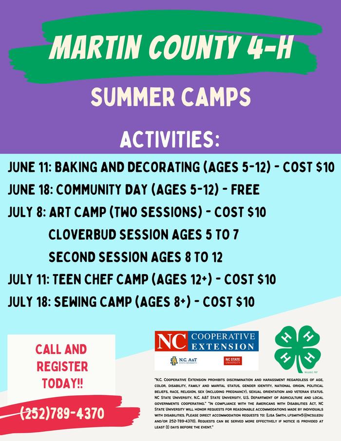 Summer Camp Flyer