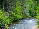 River flowing through dense green forest, person standing at right bank.