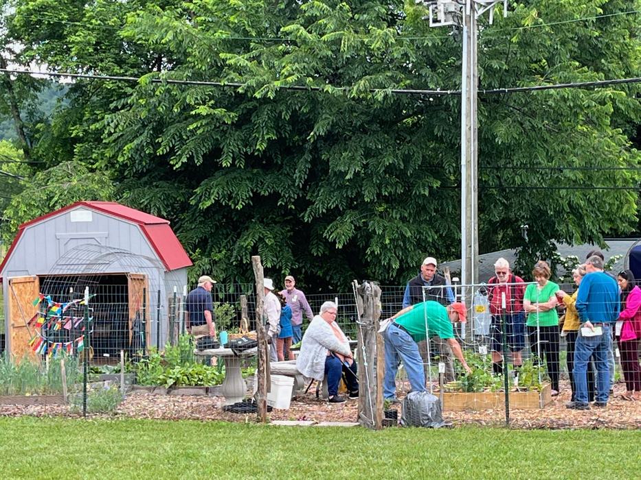 A group of people watching a demonstration in a learning garden.