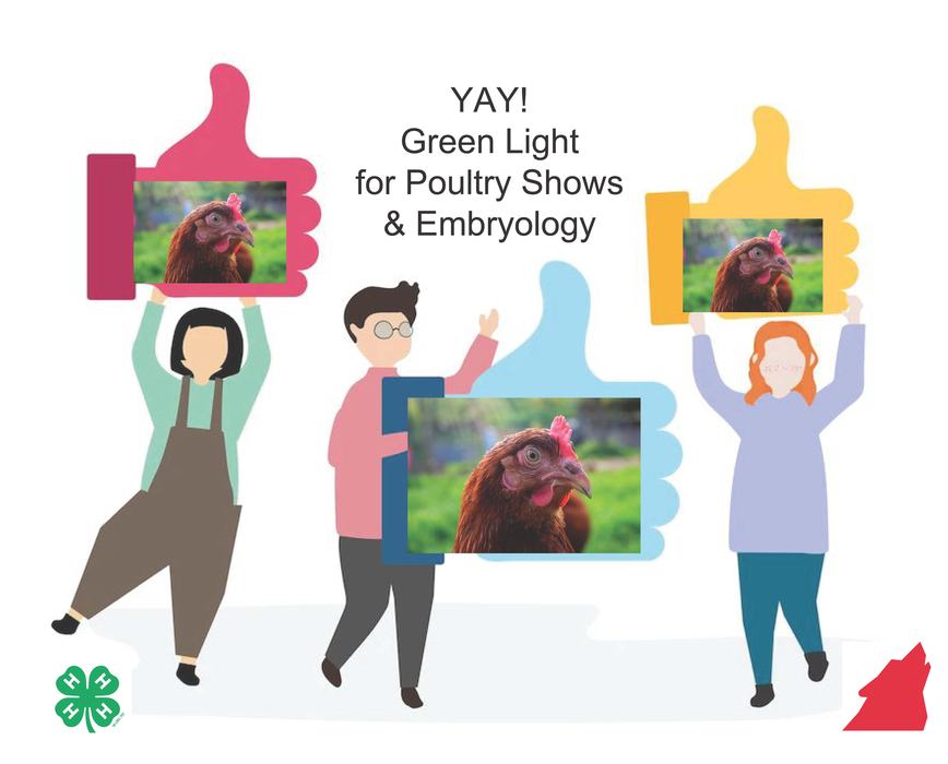 Yay! Green Light for Poultry Shows & Embryology.